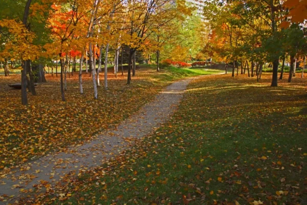 Nakajima Park