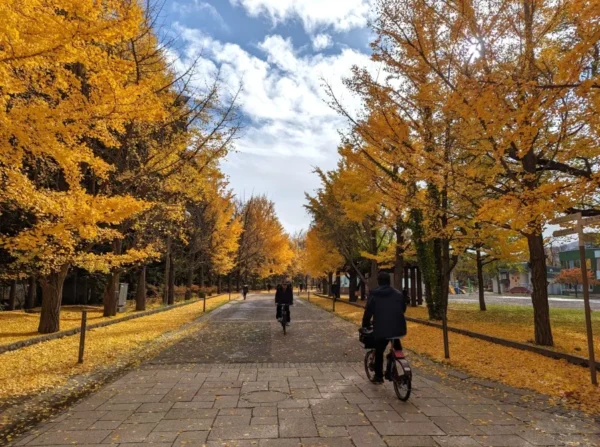 Nakajima Park