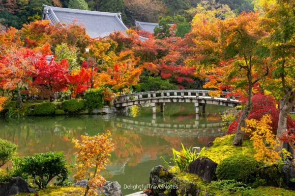 Nakajima Park