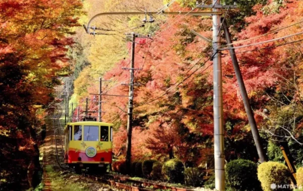 Hành trình săn lá đỏ trên đỉnh núi Takao (Takao Mountain)