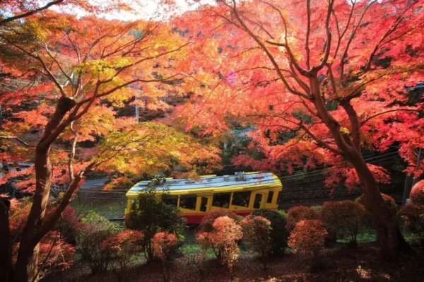 Hành trình săn lá đỏ trên đỉnh núi Takao (Takao Mountain)