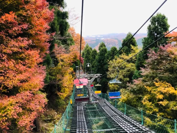 Hành trình săn lá đỏ trên đỉnh núi Takao (Takao Mountain)