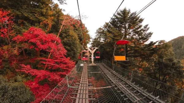 Hành trình săn lá đỏ trên đỉnh núi Takao (Takao Mountain)