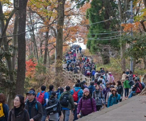 Hành trình săn lá đỏ trên đỉnh núi Takao (Takao Mountain)