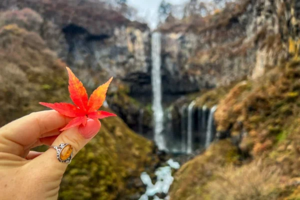 Kegon Waterfalls - Vẻ đẹp thiên nhiên đầy chất thơ tại Nikko