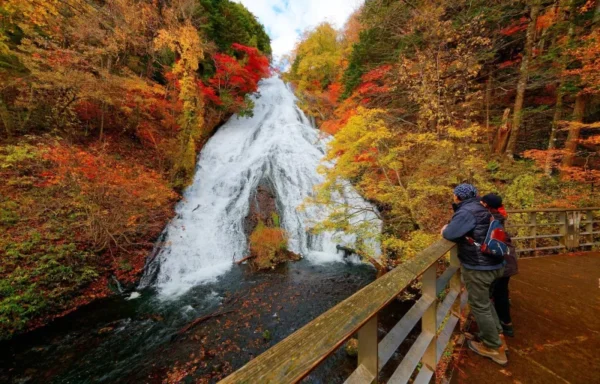 Kegon Waterfalls - Vẻ đẹp thiên nhiên đầy chất thơ tại Nikko