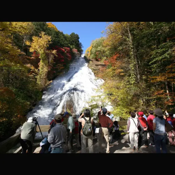 Kegon Waterfalls - Vẻ đẹp thiên nhiên đầy chất thơ tại Nikko