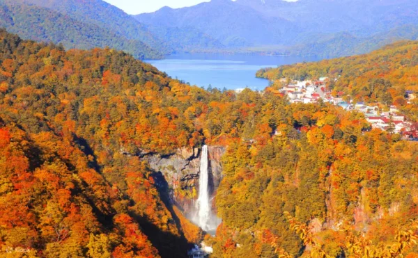 Kegon Waterfalls - Vẻ đẹp thiên nhiên đầy chất thơ tại Nikko