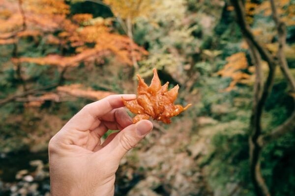 Momiji Tempura: Bí Mật Ngàn Năm Của Lá Phong Chiên Giòn Minoh