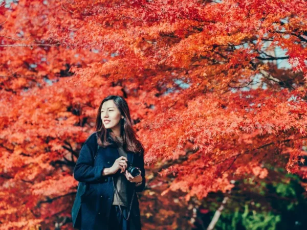 Momijigari: Nghệ Thuật "Săn Lá Đỏ" Tinh Hoa Của Nhật Bản Momijigari: Nghệ Thuật "Săn Lá Đỏ" Tinh Hoa Của Nhật Bản