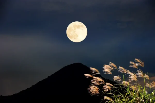 Tsukimi - Lễ Hội Ngắm Trăng Thanh Tao, Tinh Tế của người Nhật Tsukimi - Lễ Hội Ngắm Trăng của người Nhật