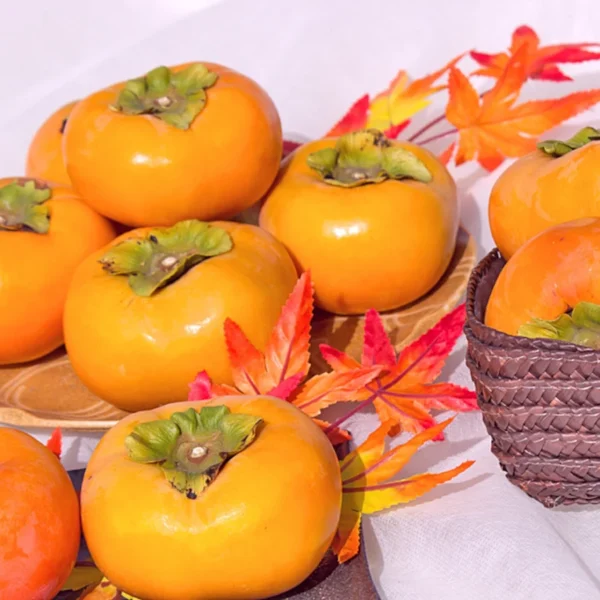 Hồng Giòn Nhật Bản: Giống Fuyu – Tuyệt Phẩm Mùa Thu Giòn Tan và Thanh Ngọt Hồng Giòn Nhật Bản