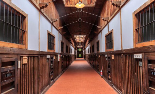 Ryuhyo Cruise: Hành Trình "Phá Băng" Độc Nhất Vô Nhị tại Hokkaido