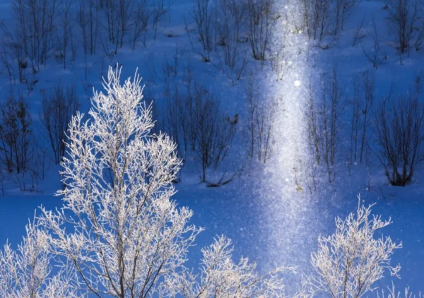 Diamond Dust: Hành Trình "Săn" Kim cương Tuyết tại Nhật Bản