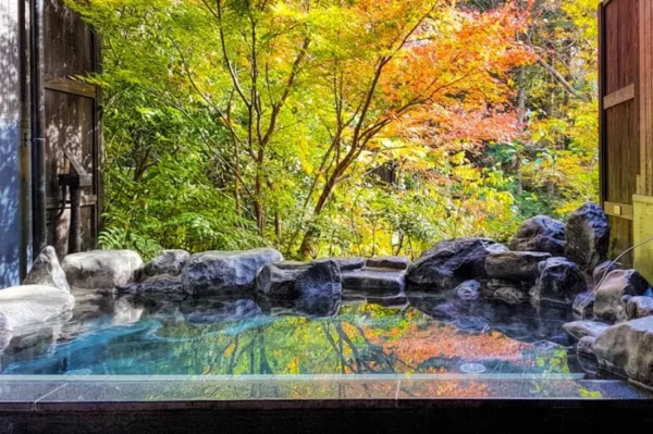Hakone Onsen: Trải Nghiệm "Tắm Tiên" Giữa Rừng Lá Đỏ