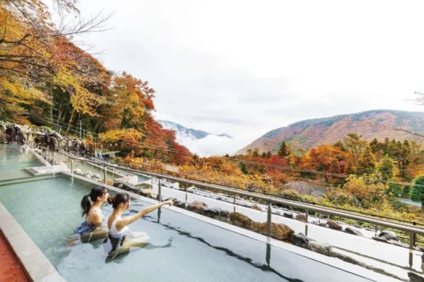 Hakone Onsen: Trải Nghiệm "Tắm Tiên" Giữa Rừng Lá Đỏ