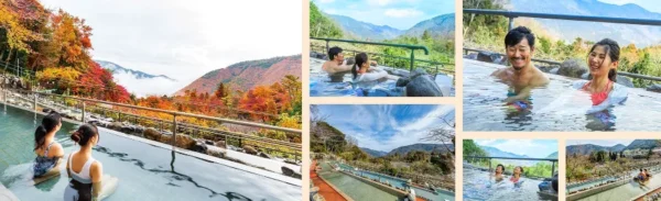 Hakone Onsen: Trải Nghiệm "Tắm Tiên" Giữa Rừng Lá Đỏ