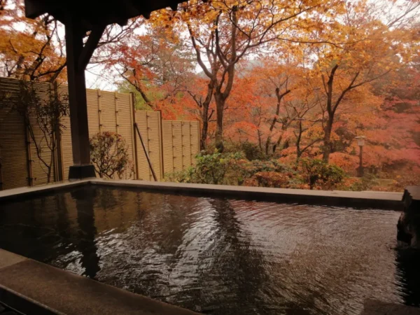 Hakone Onsen: Trải Nghiệm "Tắm Tiên" Giữa Rừng Lá Đỏ