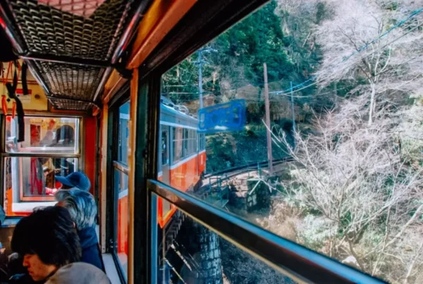 Hakone Onsen: Trải Nghiệm "Tắm Tiên" Giữa Rừng Lá Đỏ