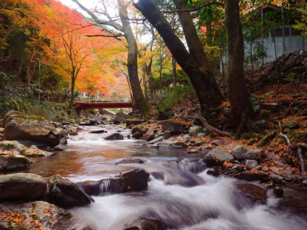 khám phá 11 địa điểm săn lá đỏ muộn Kyushu