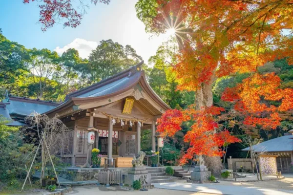 khám phá 11 địa điểm săn lá đỏ muộn Kyushu