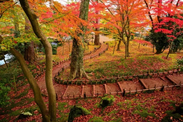 khám phá 11 địa điểm săn lá đỏ muộn Kyushu