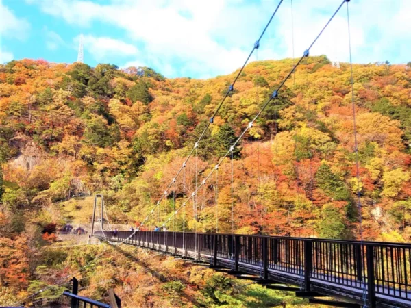 Kinugawa Onsen: Trải nghiệm thư giãn giữa lòng Nikko
