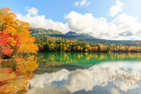 khám phá 11 địa điểm săn lá đỏ muộn Kyushu