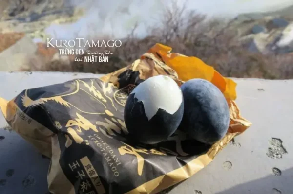 Hakone Onsen: Trải Nghiệm "Tắm Tiên" Giữa Rừng Lá Đỏ