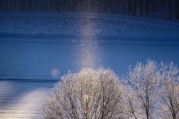 Diamond Dust: Hành Trình "Săn" Kim cương Tuyết tại Nhật Bản