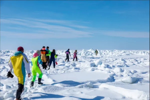 Ryuhyo Cruise: Hành Trình "Phá Băng" Độc Nhất Vô Nhị tại Hokkaido