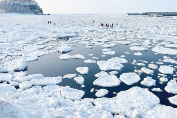 Ryuhyo Cruise: Hành Trình "Phá Băng" Độc Nhất Vô Nhị tại Hokkaido