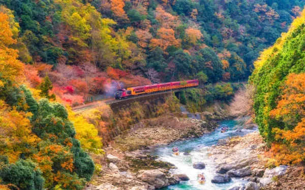 Sagano Romantic Train: Hành trình "Săn lá đỏ" tại hẻm núi lãng mạn nhất Kyoto