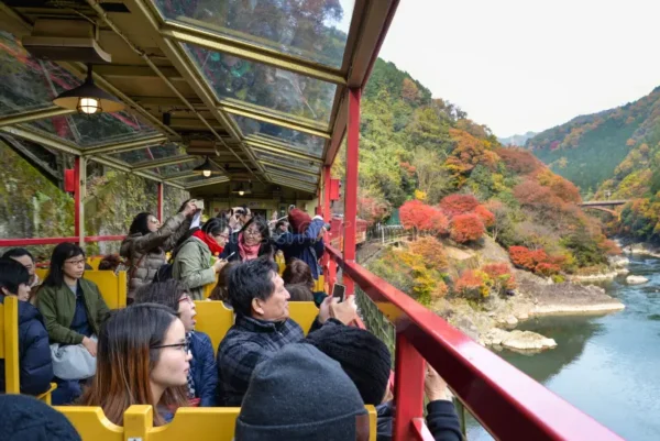 Sagano Romantic Train: Hành trình "Săn lá đỏ" tại hẻm núi lãng mạn nhất Kyoto