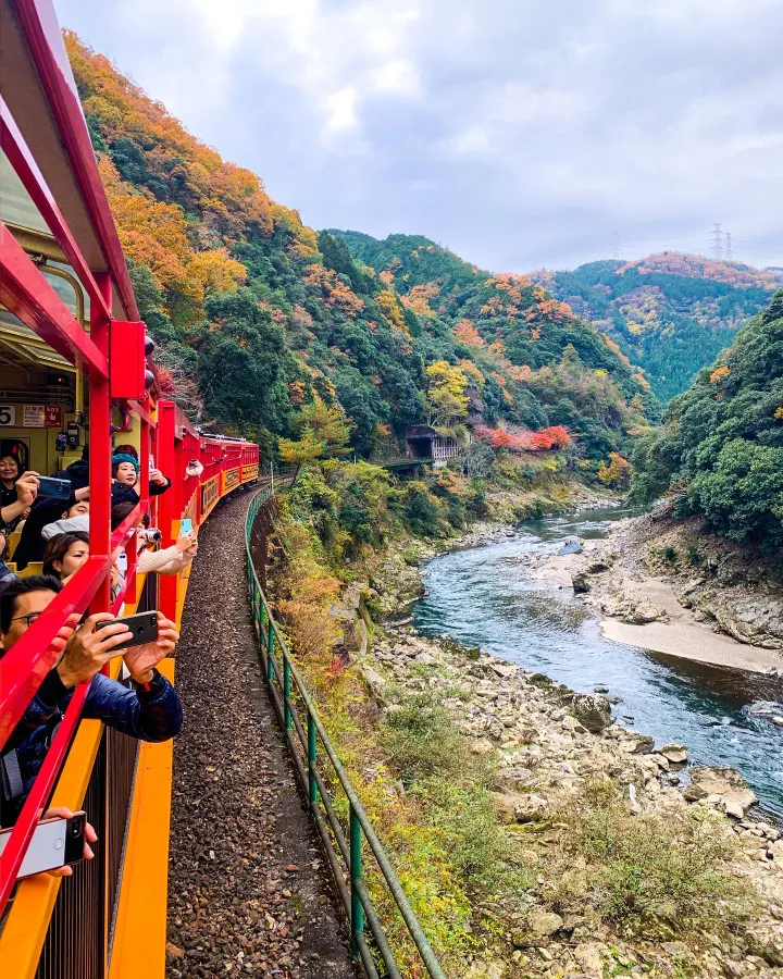 Sagano Romantic Train: Hành trình "Săn lá đỏ" tại hẻm núi lãng mạn nhất Kyoto