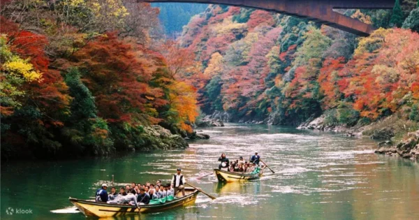 Sagano Romantic Train: Hành trình "Săn lá đỏ" tại hẻm núi lãng mạn nhất Kyoto