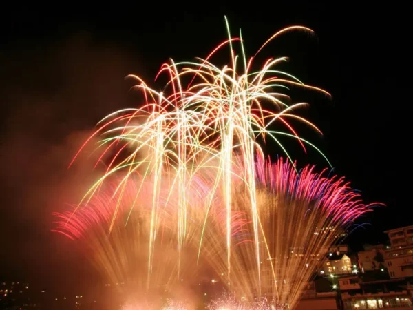 Fuyu Hanabi: Trải Nghiệm "Săn Pháo Hoa" Mùa Đông Huyền Ảo