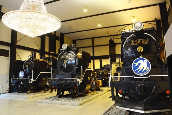 Sagano Romantic Train: Hành trình "Săn lá đỏ" tại hẻm núi lãng mạn nhất Kyoto