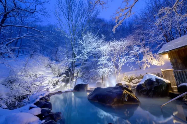 Winter Meteor Showers: Trải Nghiệm "Săn Sao Băng" Huyền Ảo Tại Nhật Bản