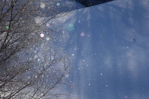 Diamond Dust: Hành Trình "Săn" Kim cương Tuyết tại Nhật Bản