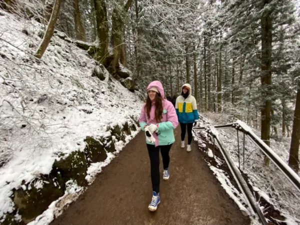 Trải Nghiệm Độc Nhất Vô Nhị Với Snow Monkeys