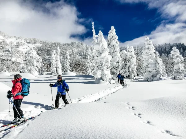 7 Cung đường đi bộ (Snowshoeing) đẹp nhất mùa đông Nhật Bản