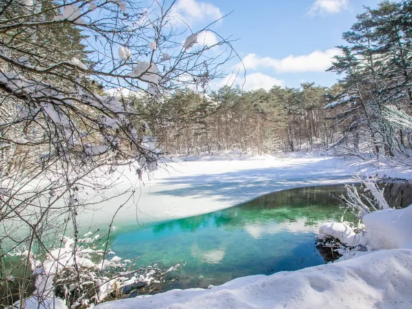 7 Cung đường đi bộ (Snowshoeing) đẹp nhất mùa đông Nhật Bản