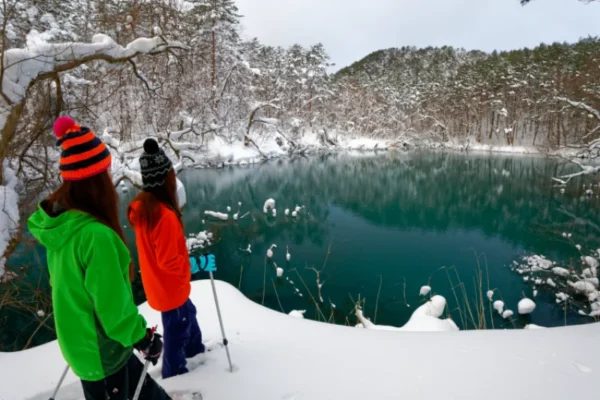 7 Cung đường đi bộ (Snowshoeing) đẹp nhất mùa đông Nhật Bản