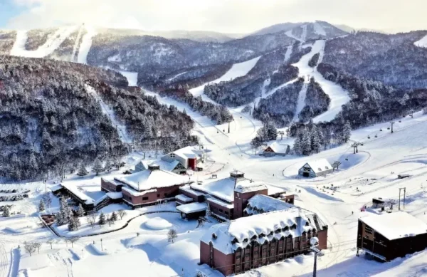 Lái Xe Trượt Tuyết (Snowmobile): Trải nghiệm tốc độ giữa thiên đường tuyết trắng