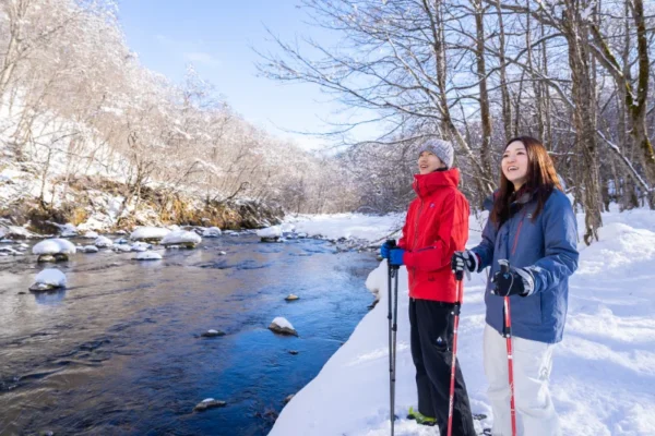 7 Cung đường đi bộ (Snowshoeing) đẹp nhất mùa đông Nhật Bản