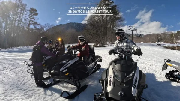 Lái Xe Trượt Tuyết (Snowmobile)