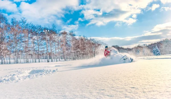 Lái Xe Trượt Tuyết (Snowmobile)