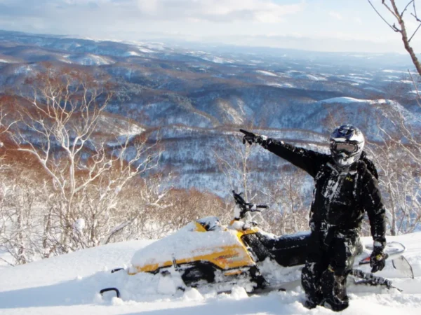 Lái Xe Trượt Tuyết (Snowmobile)