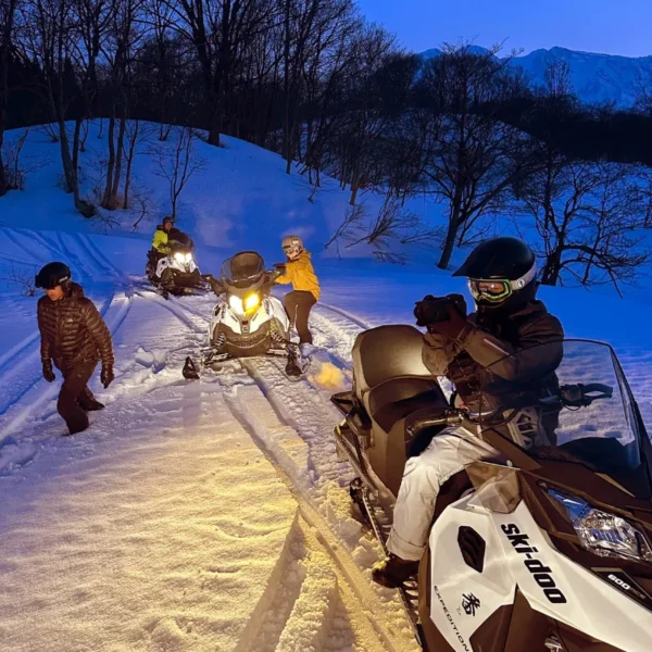Lái Xe Trượt Tuyết (Snowmobile)